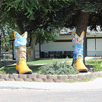 County Fair boots in Elko County, Nevada