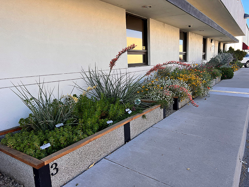 plant boxes next to a white building.