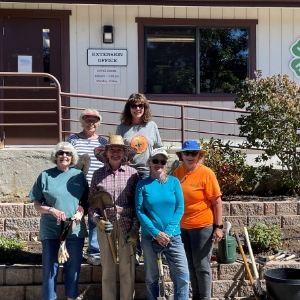 Master Gardener volunteers beautification project at UNR Extension Office 