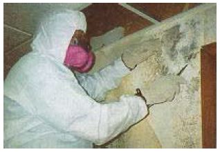 Mold remediation worker