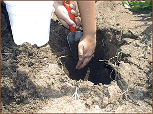 Photo os a person digging a hole