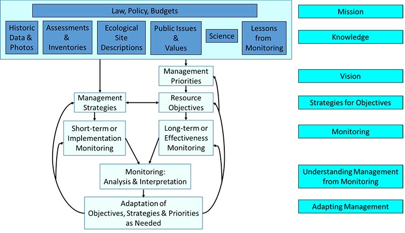 Flow chart showing that Management priorities (vision) drive resource objectives that drive long-term or effectiveness monitoring.  These must be consistent with Management strategies that drive short-term or implementation monitoring. Monitoring data drives monitoring analysis & Interpretation (understanding management from monitoring) which drives adaptation of objectives, strategies, and priorities as needed (adaptive management). All of this is driven by knowledge from historic data and photos, assessments and inventories, ecological site descriptions, public issues and values, science, and lessons from monitoring