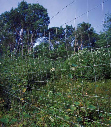 Wire fence with weeds on other side creating a physical barrier.