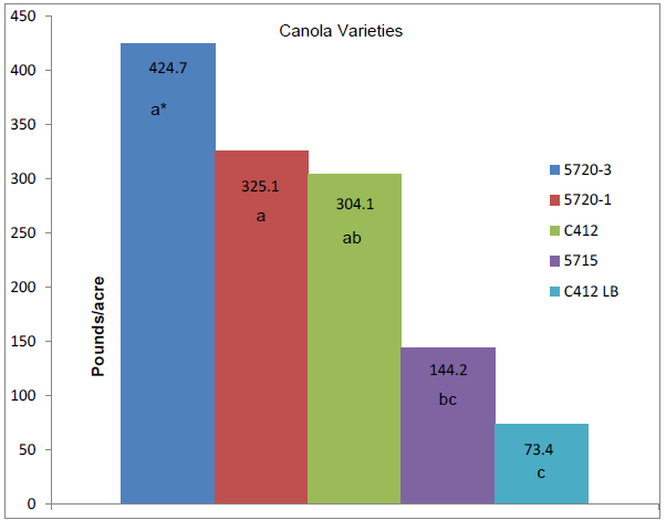 Bar graph of five spring canola types to show the pounds/acre grown in Fallon 2012