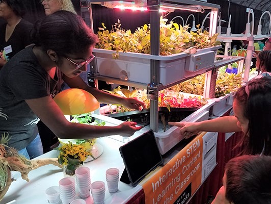Jillian Perry demonstrating hydroponics at the Las Vegas Science and Technology Festival in 2018 (prior to COVID-19 Pandemic).