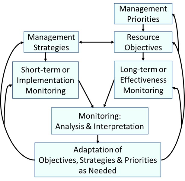 Flow chart showing that Management priorities drive resource objectives that drive long-term or effectiveness monitoring.  These must be consistent with Management strategies that drive short-term or implementation monitoring. Monitoring data drives monitoring analysis & Interpretation which drives adaptation of objectives, strategies, and priorities as needed.