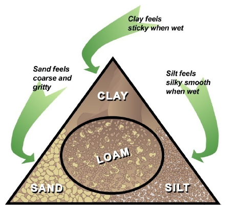 Silt Sand Clay Order