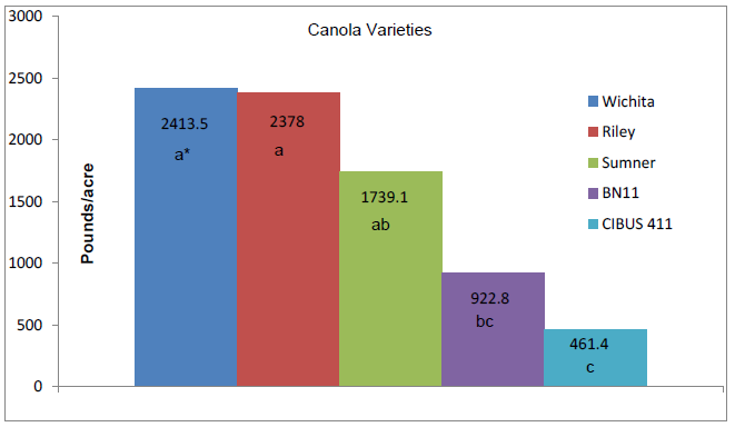 Bar graph of five spring canola types to show the pounds/acre grown in Fallon 2013