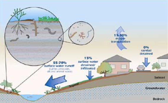 Stormwater distribution and depleted soil biota