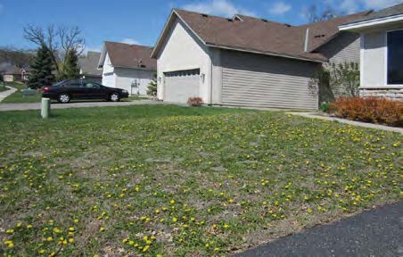 Front yard of home where the weeds have overtaken the grass with patches of dirt exposed.