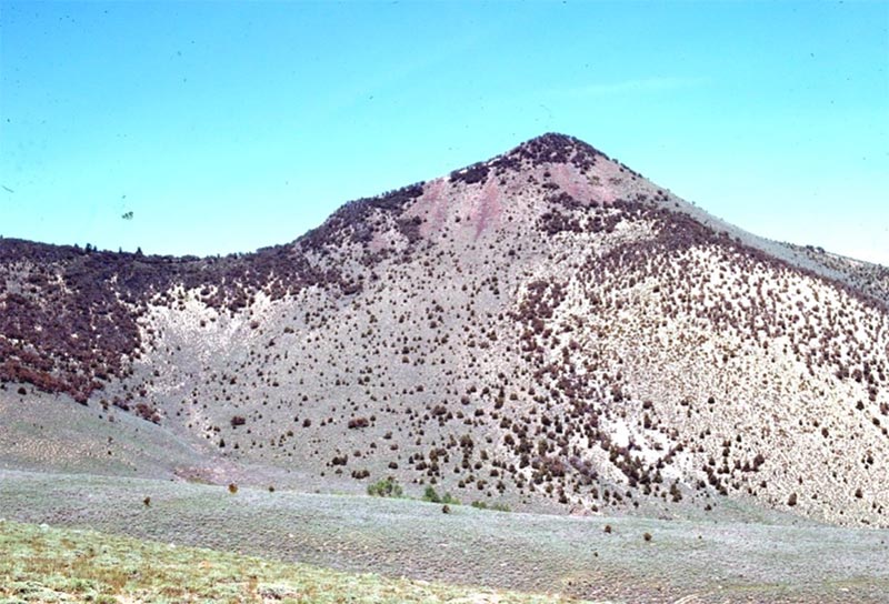 1971 photo with sparce pinyon and or juniper trees  taken by Robin Tausch in the Shoshone Range
