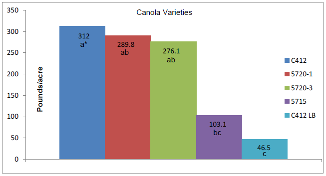 Bar graph of five spring canola types to show the pounds/acre grown in Reno 2012