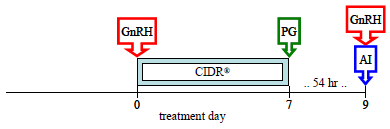 Timeline graph of Beef heifer synchronization, CIDR spanning 7 days, and 54 hours until GnRH and AI label.