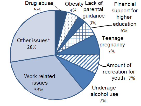 Pie graph of youth issues by percentages to show that work related issues is the highest
