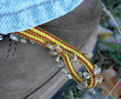 Photo of houndstongue seeds on shoelaces