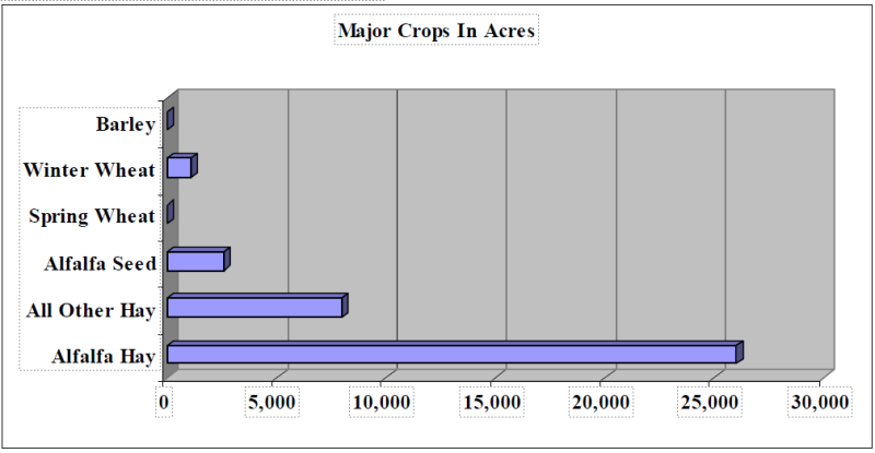 Graph of the acreage that each major crop in Pershing County used. Barley and Spring Wheat have close to no acreage, Winter Wheat followed by Alfalfa Seed having less than 5000, All Other Hay having in between 5000 and 10000, and Alfalfa Hay over 25,000.