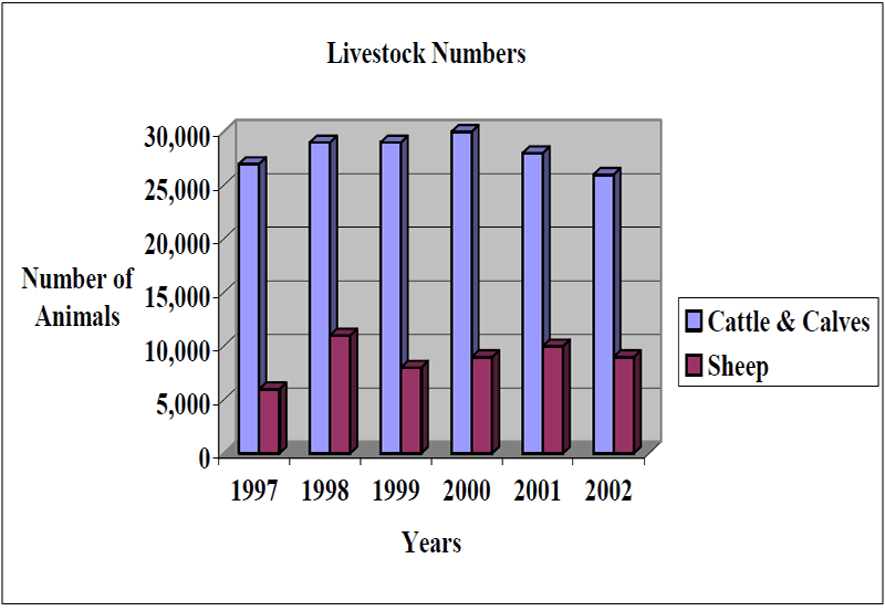 Graph comparing the number of cattle & calves to the number of sheep from 1997-2002, with the number of cattle always above 25,000, and the number of sheep around 7,500, and only 5,000 in 1997.
