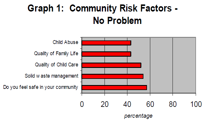 Bar graph of different minor community risk factors to show that community safety is the highest.