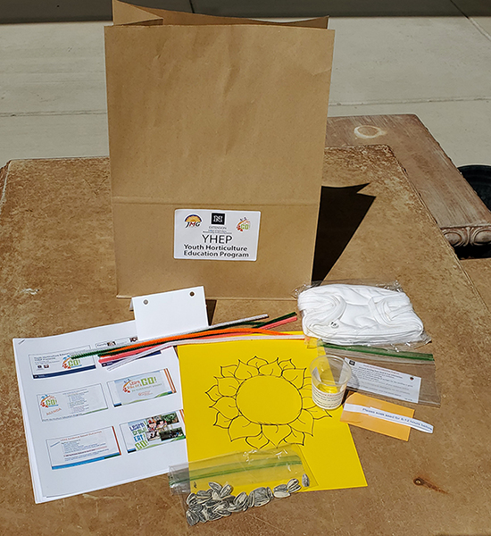 Brown paper bag with Extension Youth Horticulture Education Program sticker, surrounded by printed materials and seed packets.