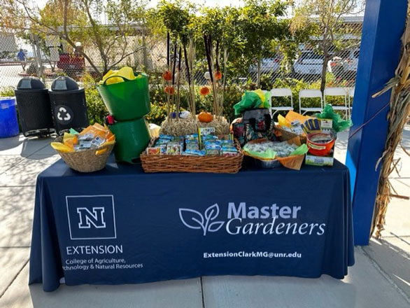 A table with an Extension and Master Gardener branded tablecloth is filled with seed packets and raffle items in baskets. 