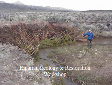 Riparian Ecology
