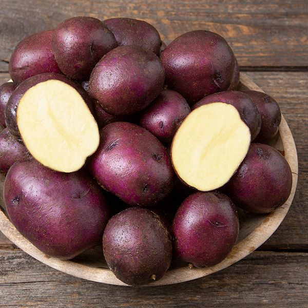 peter wilcox potatoes