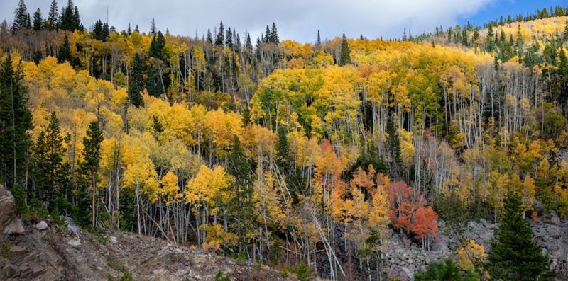 Fall Mountain Colors