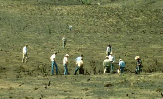 Members looking at landscape after wildfire
