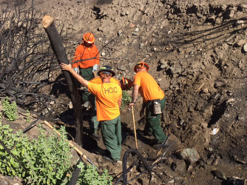 A group of three men working to remove dead vegetation form a ditch. 