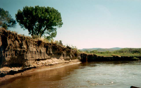 Carson river