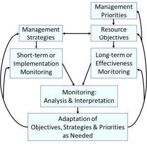 Flow chart with the boxes, Management Priorities, Resource Objectives, Management Strategies, Short-term of Implementation Monitoring, Monitoring: Analysis & Interpretation, and Adaption of Objectives, Strategies & Priorities as Needed.