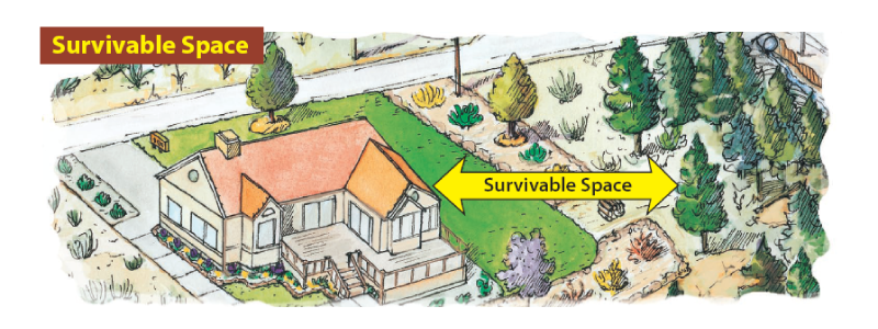 Illustration showing a grassy field that acts as a gap between a house and vegetation with text saying "Survivable Space."