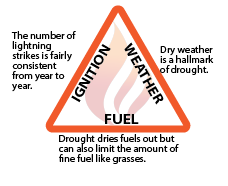 Fire triangle: Ignition -- the number of lightning strikes is fairly consisten from year to year. Weather - Dry weather is a hallmark of drought. Fuel - Drought dries fuel out but can also limit the amount of fine fuel like grasses.