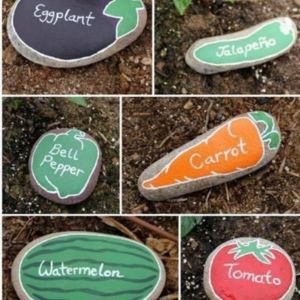 Rocks painted as vegetables to identify plants 
