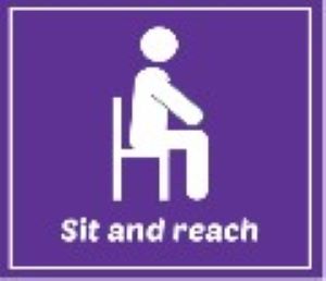 Sit and Reach Icon
