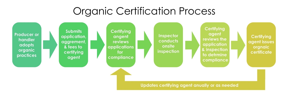 Organic Certification Process flowchart