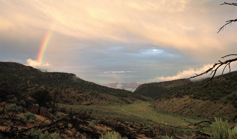 rainy day in porter canyon nevada