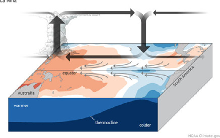 A diagram of typical La Niña conditions in the tropical Pacific Ocean.