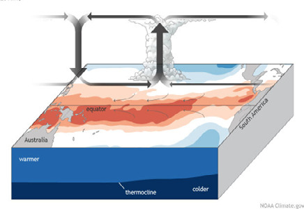 Diagram of typical El Niño conditions in the tropical Pacific Ocean.