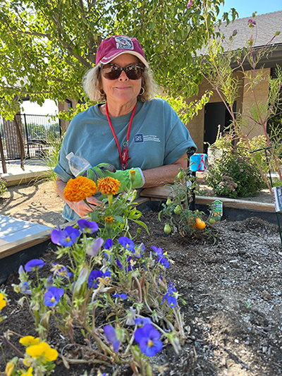 Peron wearing red hat, sunglasses and standing at a garden bed with yellow and purple flowers. A tree in the background.