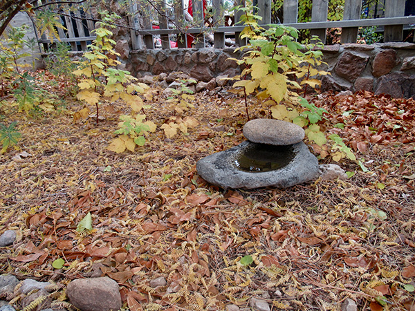 Leaves covering the ground with a rock in the center with water.