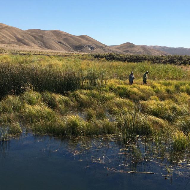 maggie creek ranch