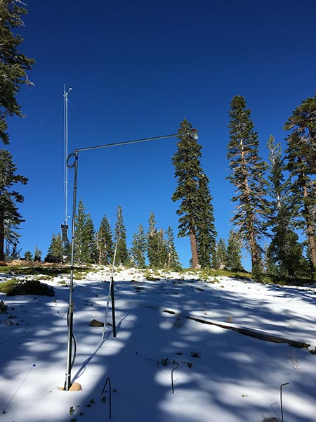 field site in winter