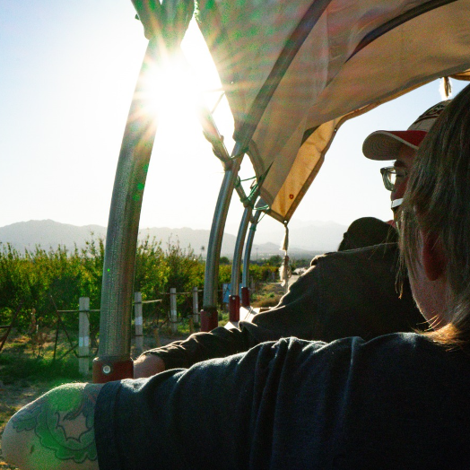 two people viewing vineyard