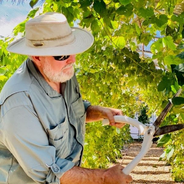 volunteer tending to plants in garden