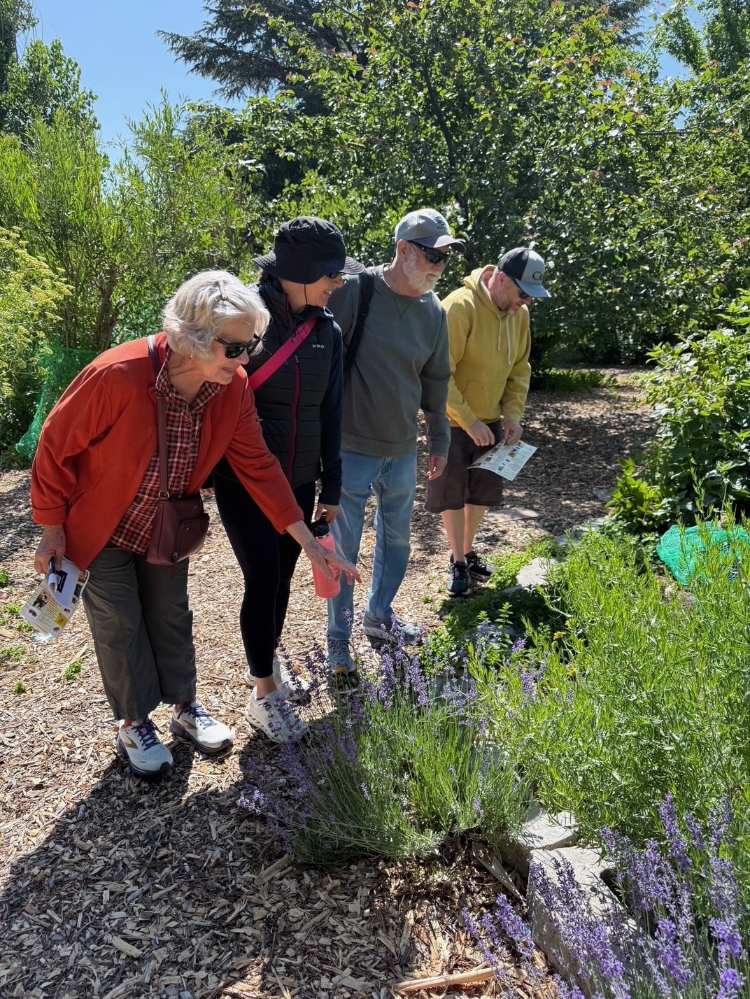 Garden tour participants viewing plants in garden