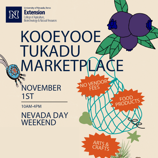 Kooeyooe Tukadu Marketplace Event Flyer