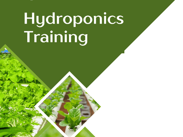 Image of: 23. Hydroponics