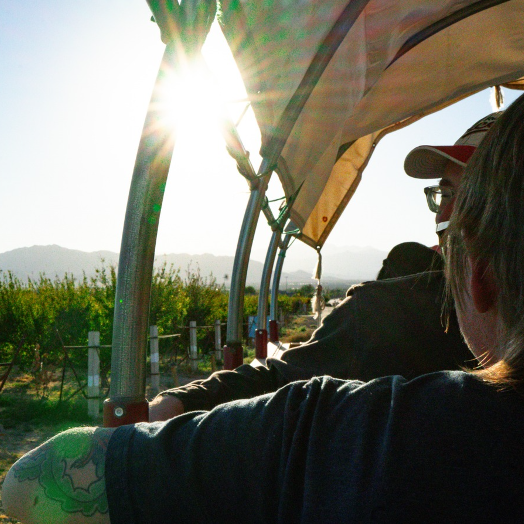 Farm tour