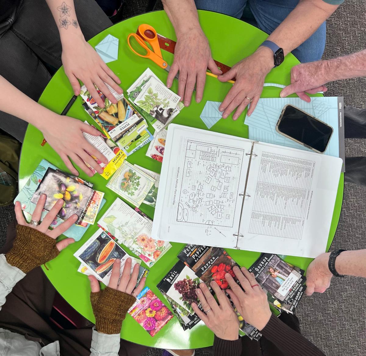 Hands on the table surrounded by seeds